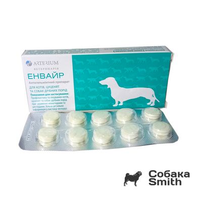Энвайр таблетки от глистов для кошек, щенков и собак мелких пород, 10 шт 2653 фото