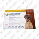 Таблетки от блох и клещей Симпарика для собак 40-60 кг, 3 шт х 120 мг 2607 фото 1