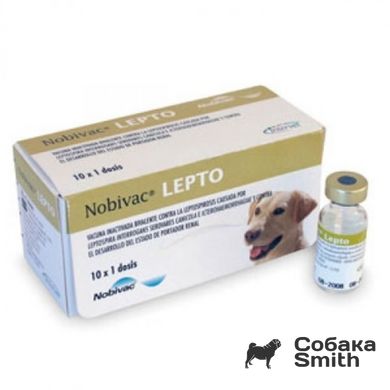 Вакцина Нобівак Lepto 1доза/1мл (лептоспіроз собак) 2970 фото
