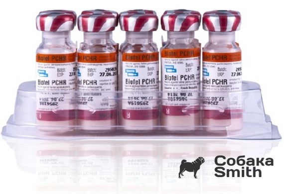 Вакцина Биофел PCHR 1доза/1мл (против панлек-,калиц-,герпевир-,бешенство кошек) 2960 фото