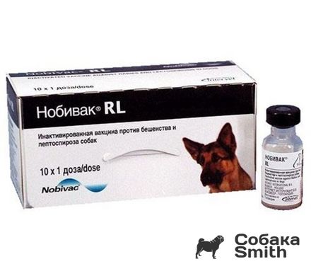 Нобивак RL вакцина для собак от бешенства и лептоспироза, 1доза/1мл 2971 фото