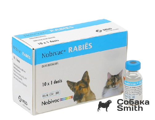 Вакцина Нобівак Rabies 1доза/1мл (проти сказу) 3753 фото