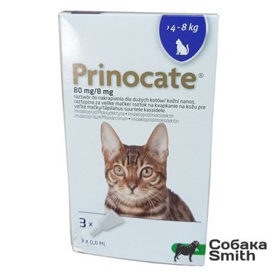 Капли от блох, клещей и глистов Принокат для котов весом 4-8 кг, 3 пипетки х 0,8 мл 3437 фото