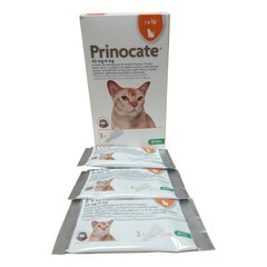 Капли от блох, клещей и глистов Принокат для котов весом до 4 кг, 3 пипетки х 0,4 мл 3438 фото