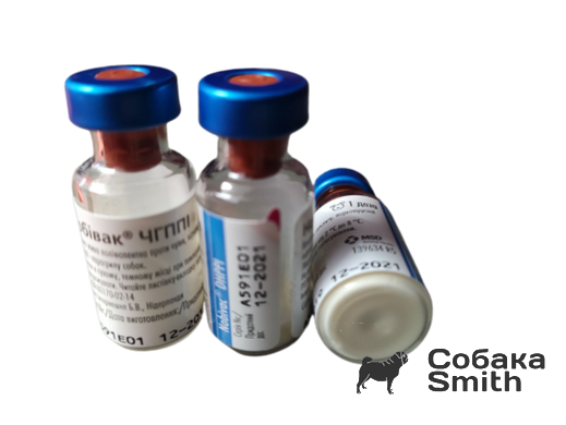 Вакцина Нобівак DHPPI без розчинника 1доза/1мл (чума,парво-,адено-,парагр-) 3782 фото