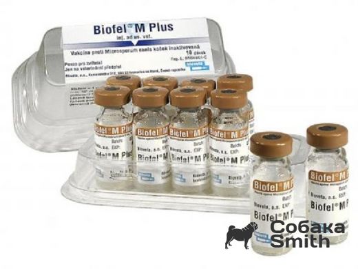 Вакцина Біофел M Plus 1доза/1мл (проти мікроспорії котів) 3343 фото